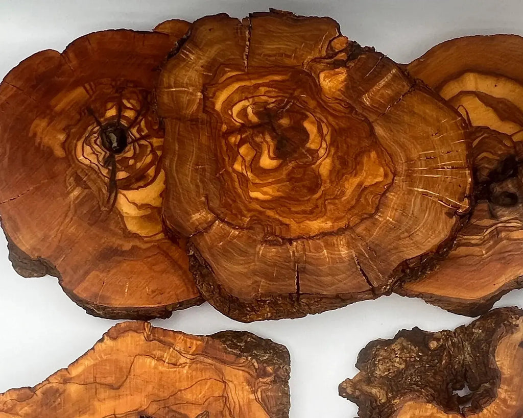 Unfinished Olive Wood Rounds - For Epoxy and Crafting (7-9 Inch) - Olivarts