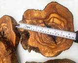Unfinished Olive Wood Rounds - For Epoxy and Crafting (7-9 Inch) - Olivarts