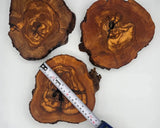 Unfinished Olive Wood Rounds - For Epoxy and Crafting (7-9 Inch) - Olivarts