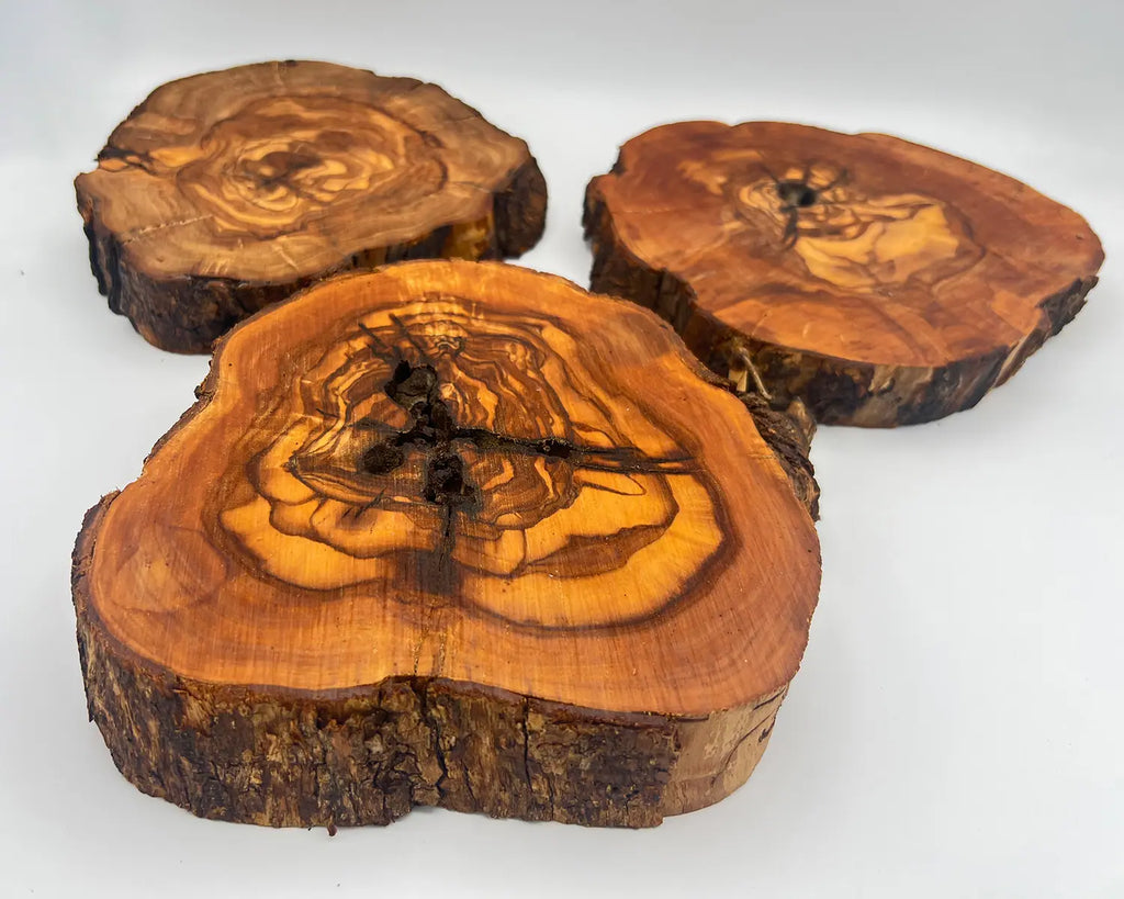 Unfinished Olive Wood Rounds - For Epoxy and Crafting (7-9 Inch) - Olivarts
